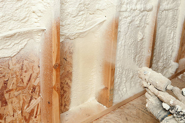 Best Basement Insulation  in USA